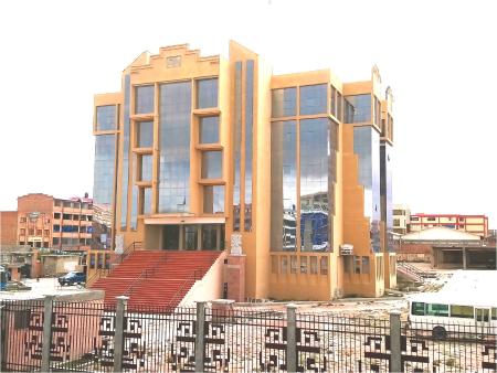 Public University of El Alto