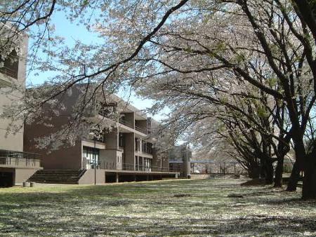 Rissho University Rissho University