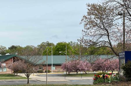 Springfield Park Elementary School Springfield Park Elementary School