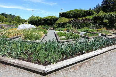 UBC Botanical Garden