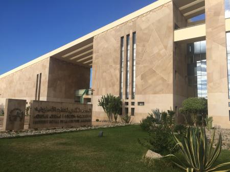 Royal Institute of Amazigh Culture Royal Institute of Amazigh Culture