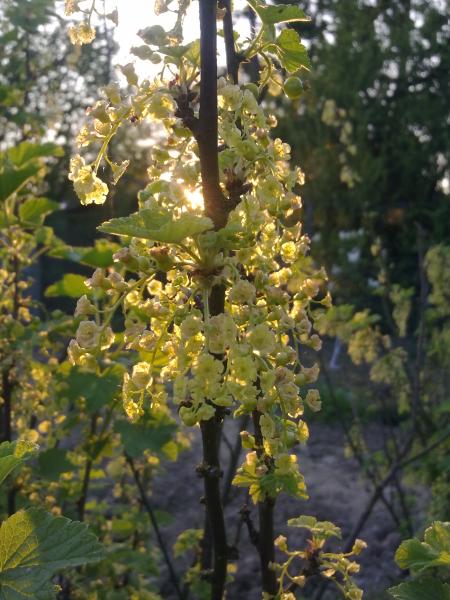 Arboretum de la Petite Loiterie Arboretum de la Petite Loiterie