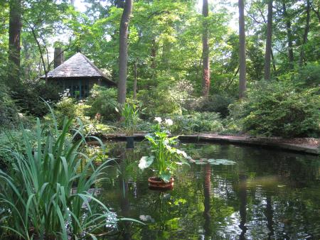 Arboretum of the Barnes Foundation