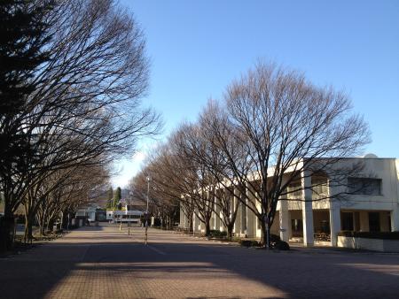 Ashikaga Institute of Technology Ashikaga Institute of Technology