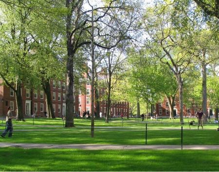Harvard College