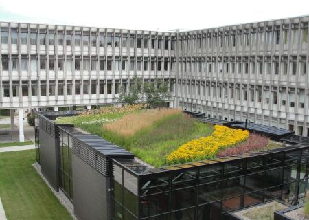 Faculté de droit de l'Université Laval