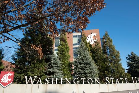 Washington State University College of Nursing Washington State University College of Nursing