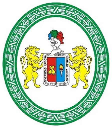 Universidad Nacional Hermilio Valdizán