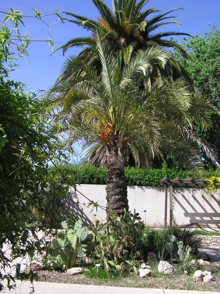 Jardin botanique E.M. Heckel Jardin botanique E.M. Heckel