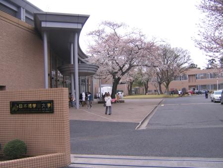 Kaichi International University