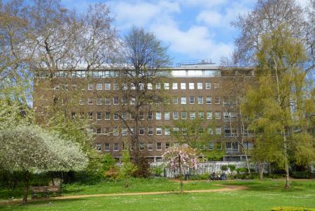 UCL Institute of Archaeology