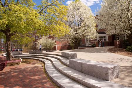 Western New England University