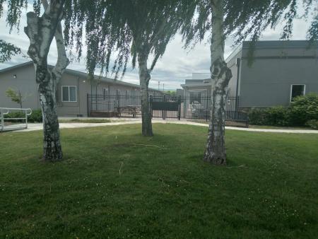 Weston-McEwen High School