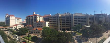 McGovern Medical School McGovern Medical School