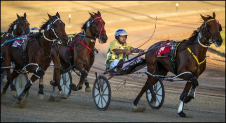 Redcliffe Paceway