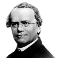 Gregor Mendel Gregor Mendel